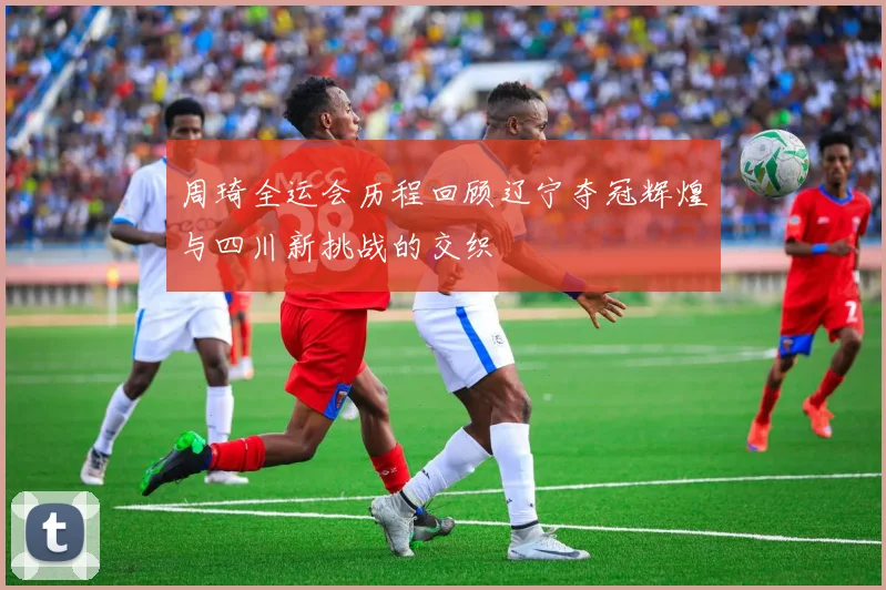 周琦全运会历程回顾辽宁夺冠辉煌与四川新挑战的交织